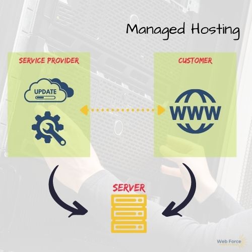 managed web hosting